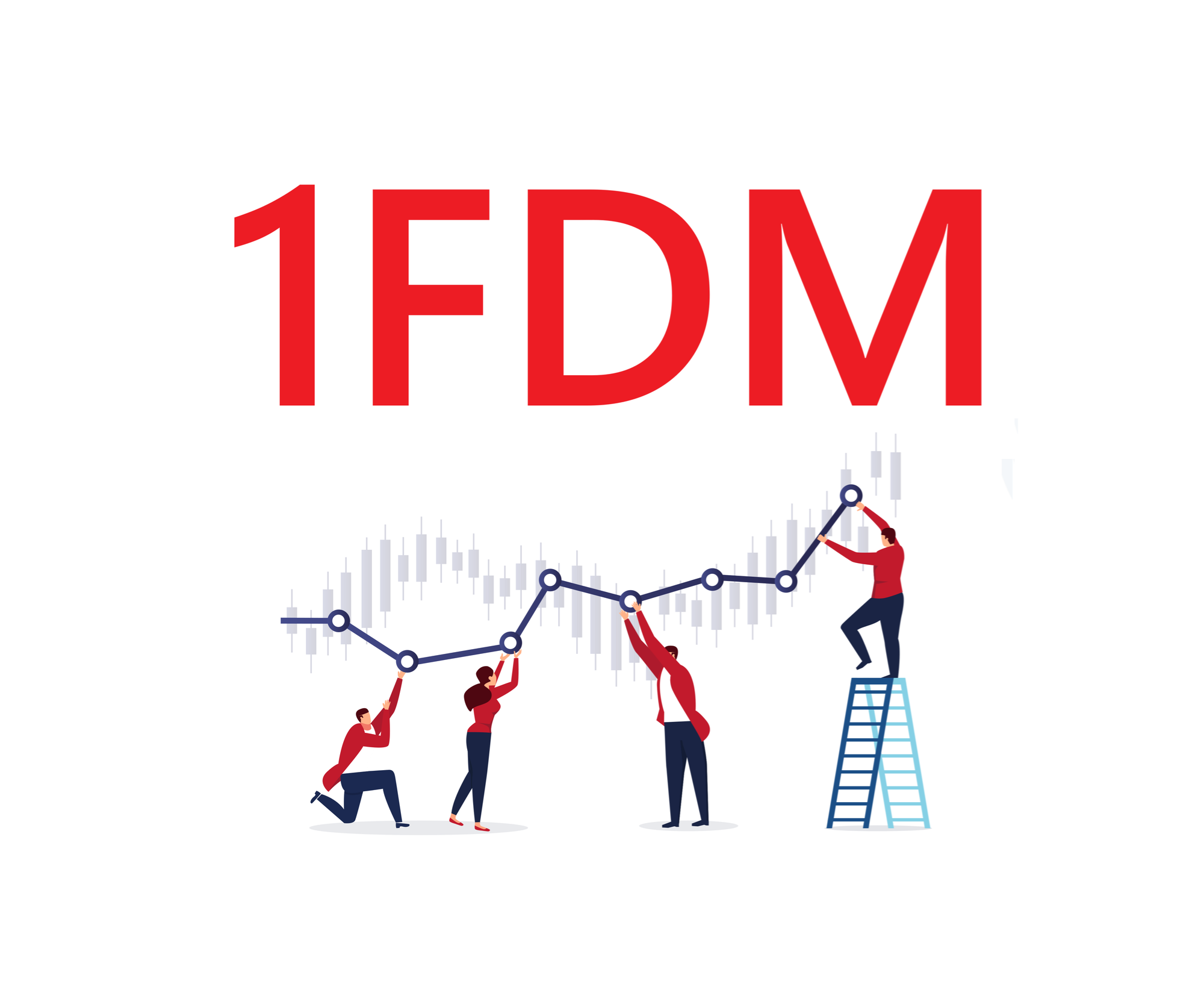 Pricing Strategy for Marketplace, 1FDM.com