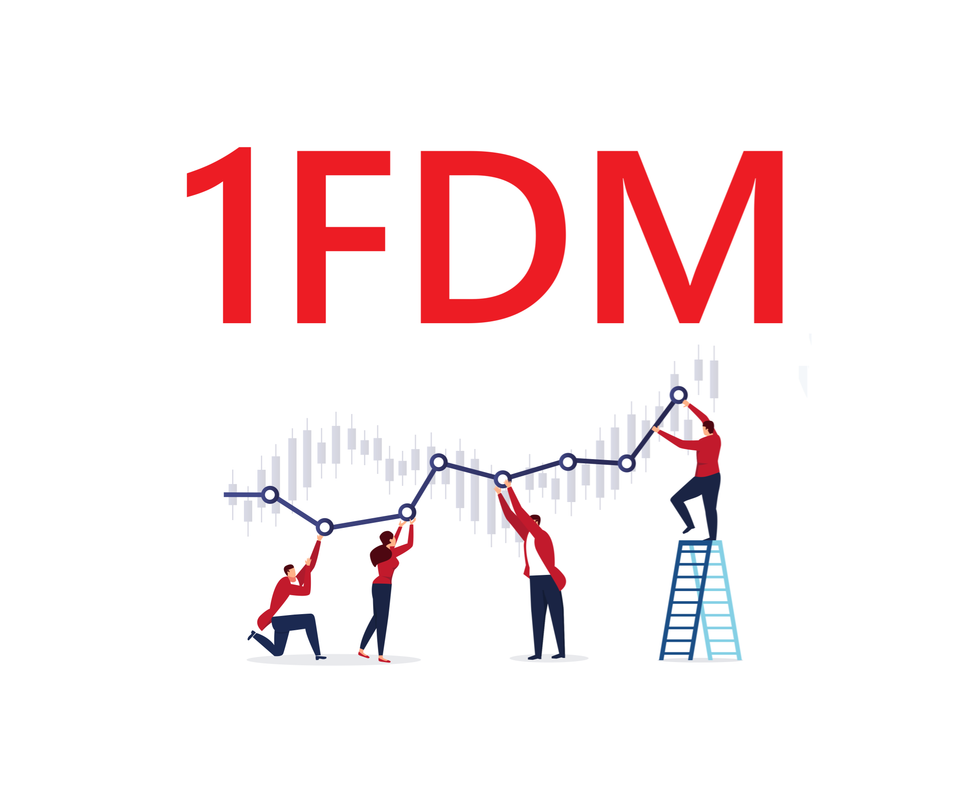 Pricing Strategy for Marketplace, 1FDM.com